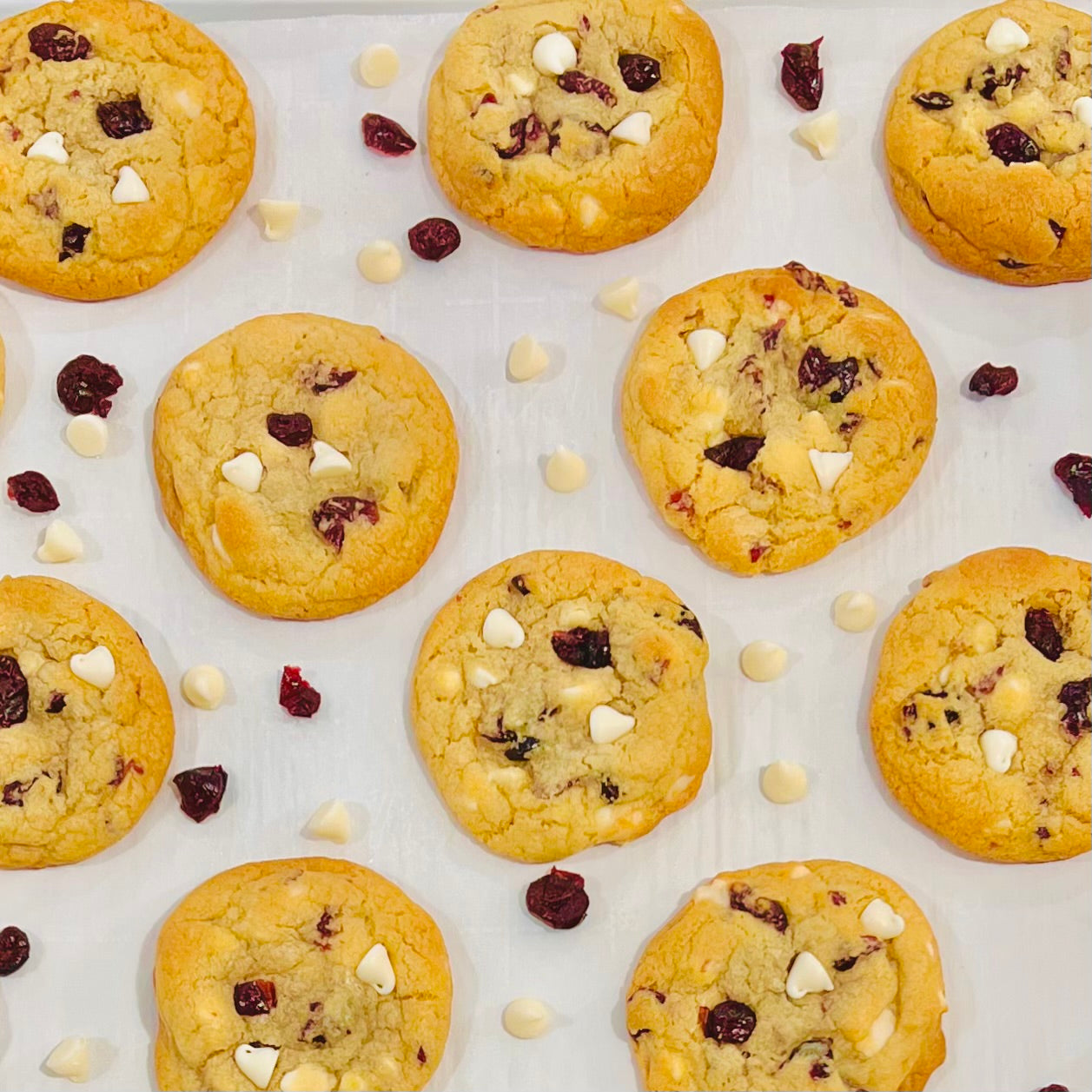 Cranberry Orange White Chocolate Cookies – Seasonal Gourmet Cookies